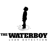 The Waterboy LOGO.png