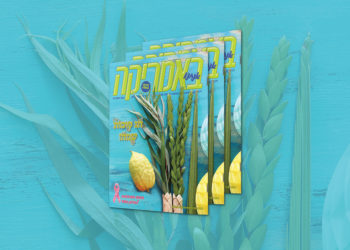 צפו בגליון המודפס, 171, אוקטובר 2020