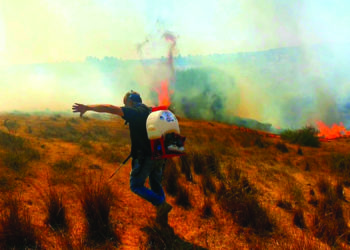 בוקר טוב עזה