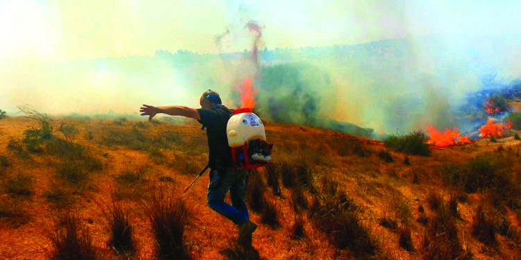 טרור העפיפונים | צילום בטחון אשכול בוקר טוב עזה