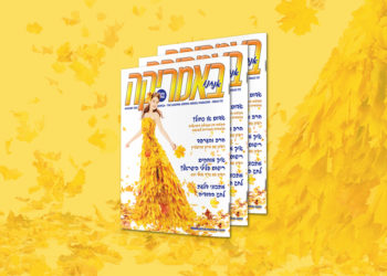 צפו בגליון המודפס, 172, נובמבר 2020