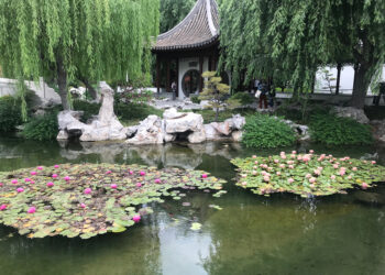 להסתובב בתוך גלויה בגני האנטינגטון