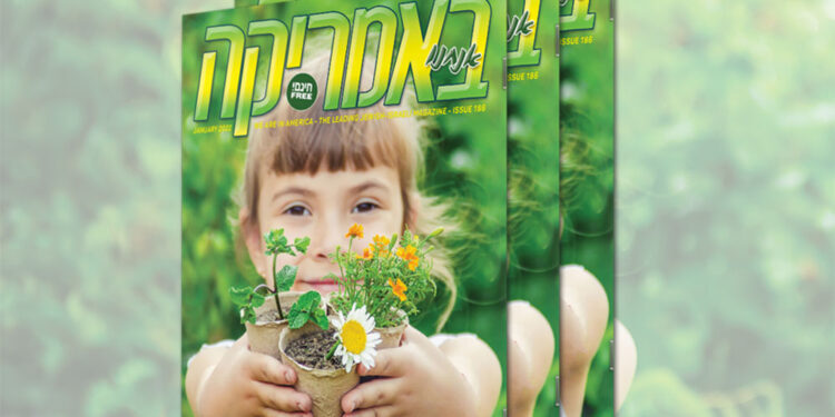 צפו בגליון המודפס, 186, ינואר 2022