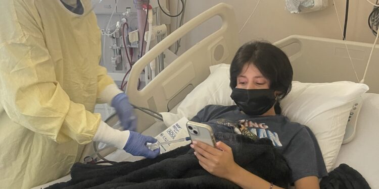 דרושה: כליה