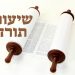 שיעורי תורה