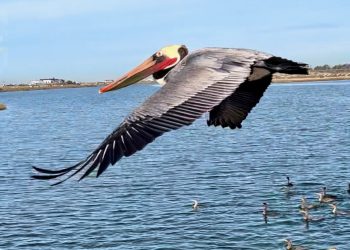 גן עדן למטיילים