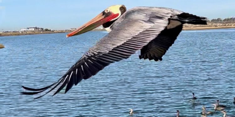 גן עדן למטיילים