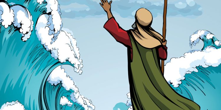 פסח האגו והמספרים שביניהם