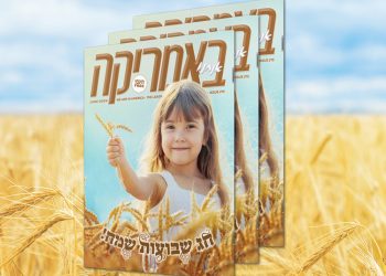 צפו בגיליון המודפס, 215, יוני 2024