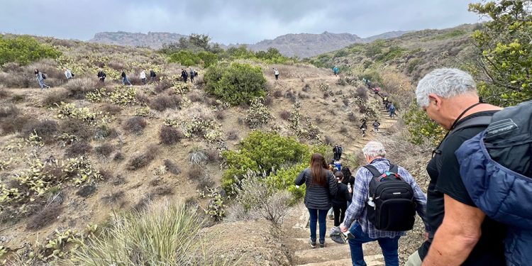 טיול לשמורת הטבע ווילדווד פארק