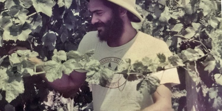 חמישה עשורים של יינות הגפן