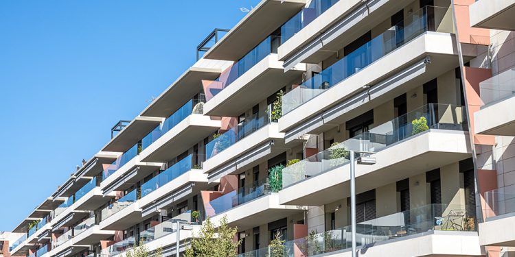 זכויות השוכרים למגורים בתנאי מחיה ראויים